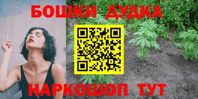 сатива Донецк