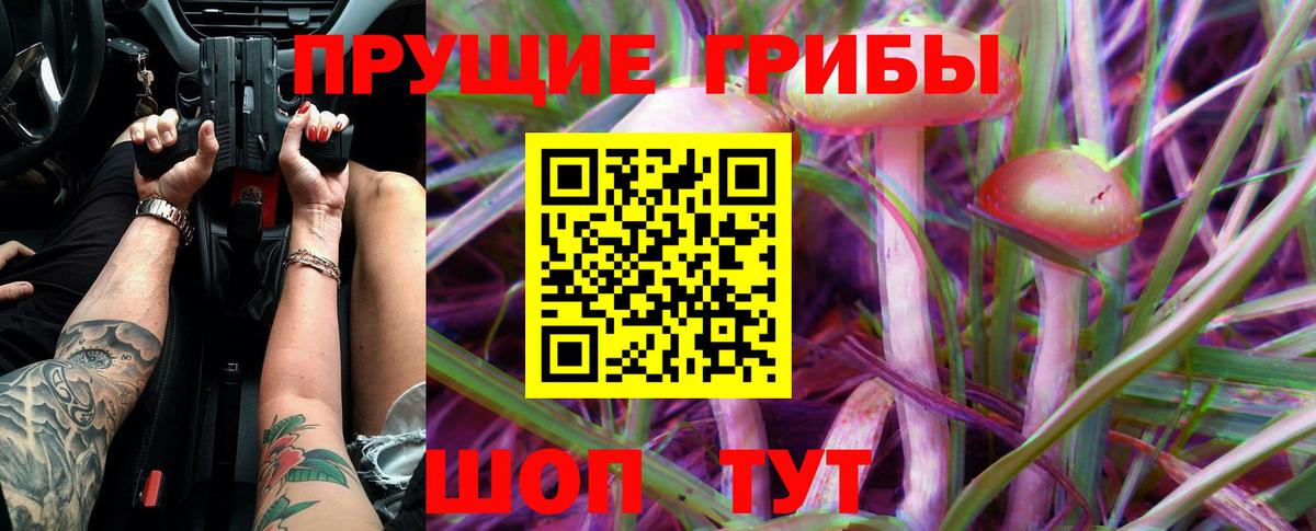 Галлюциногенные грибы Cubensis  Вход с VPN  Мариинск 