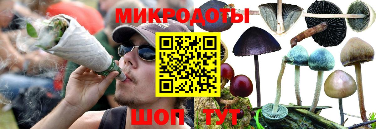 Галлюциногенные грибы Psilocybine cubensis Мариинск